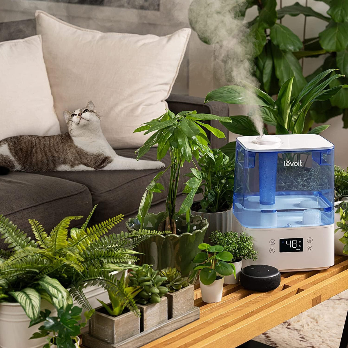 Levoit Classic 300S Ultrasonic Smart Humidifier Blue