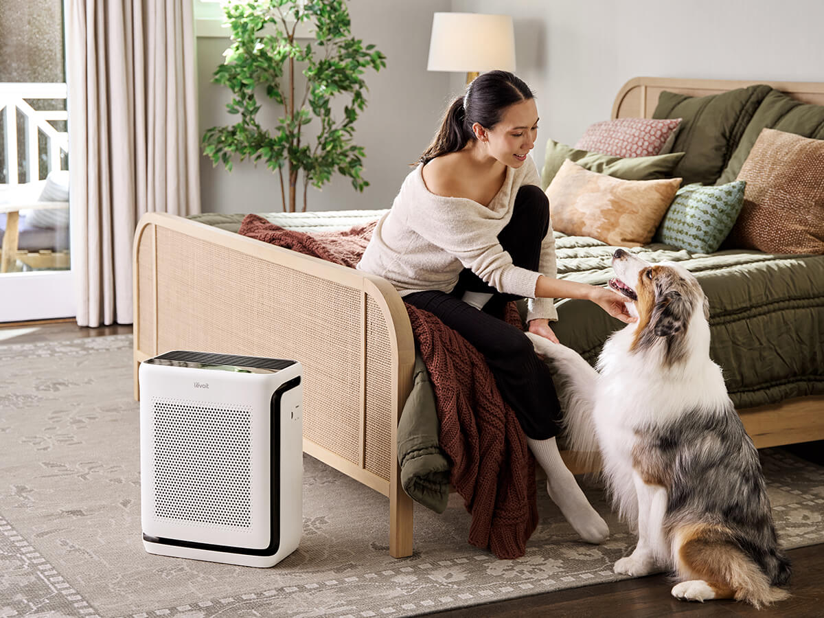 Best Air Purifiers for Pets: Levoit's Picks for Every Home
